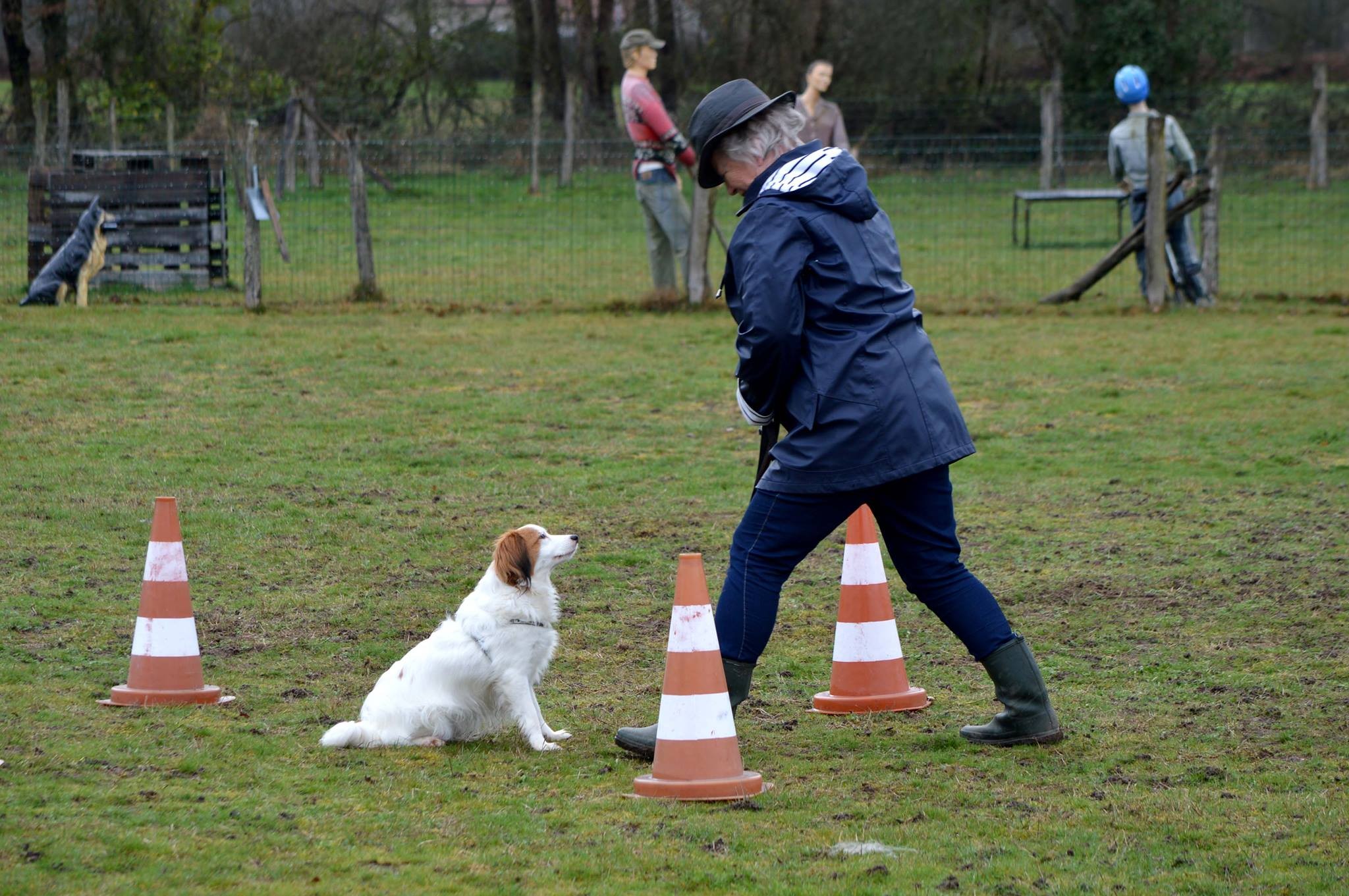 Stop dans le carré