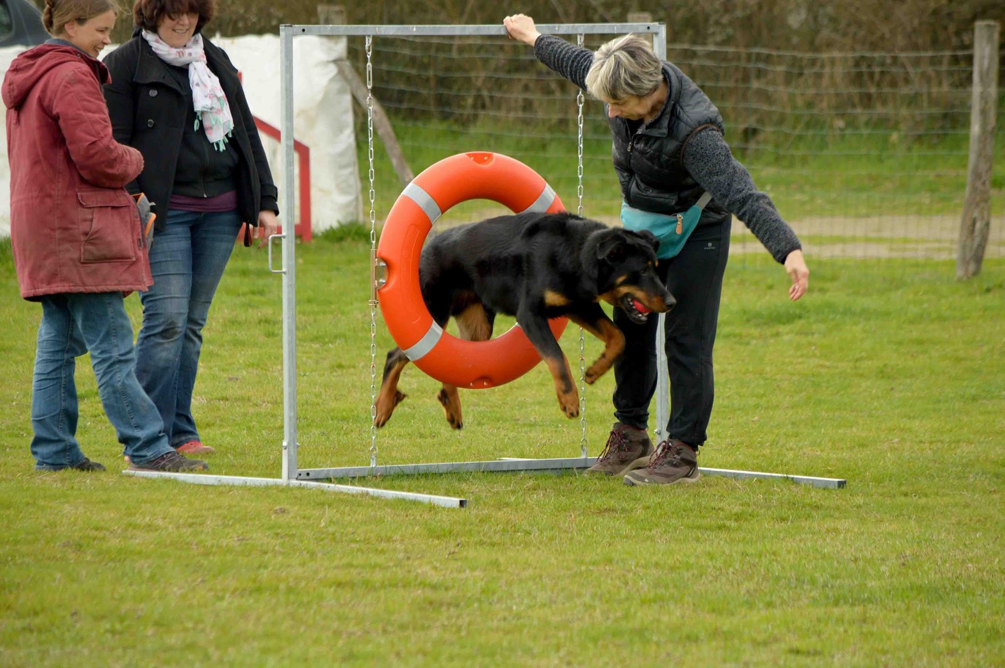 Agility découverte