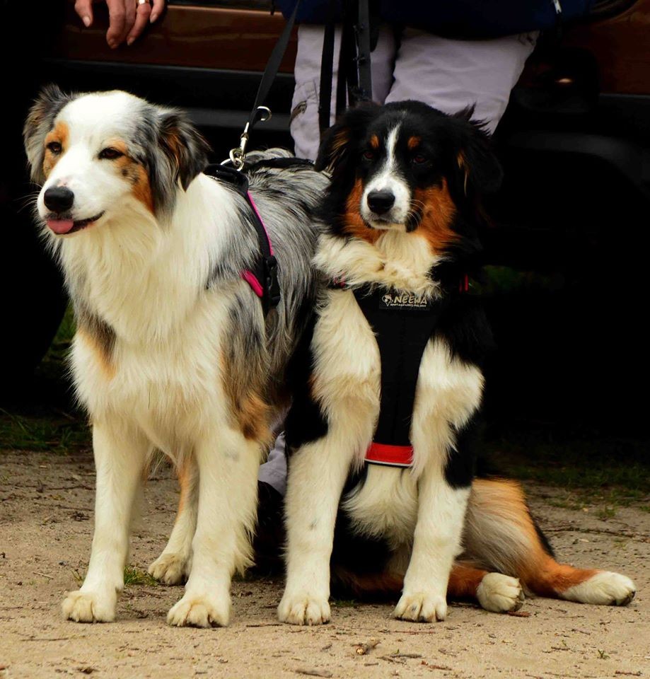 Lilou et Mitsi