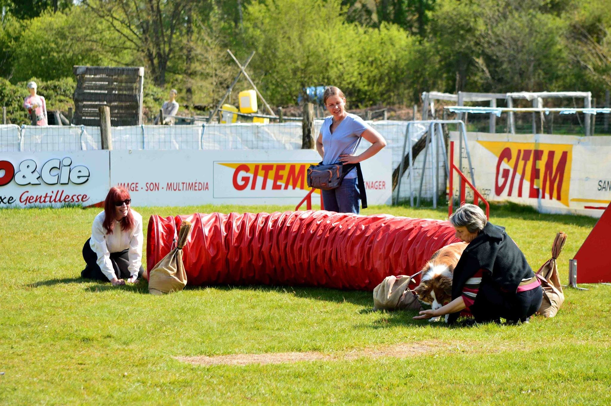 Maya découvre l'agility