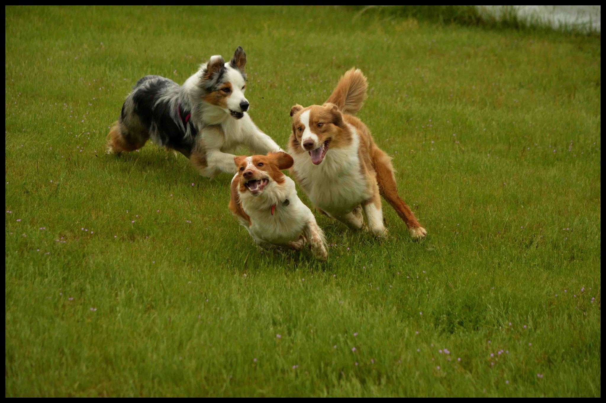 Jimmy, Maya et Lilou