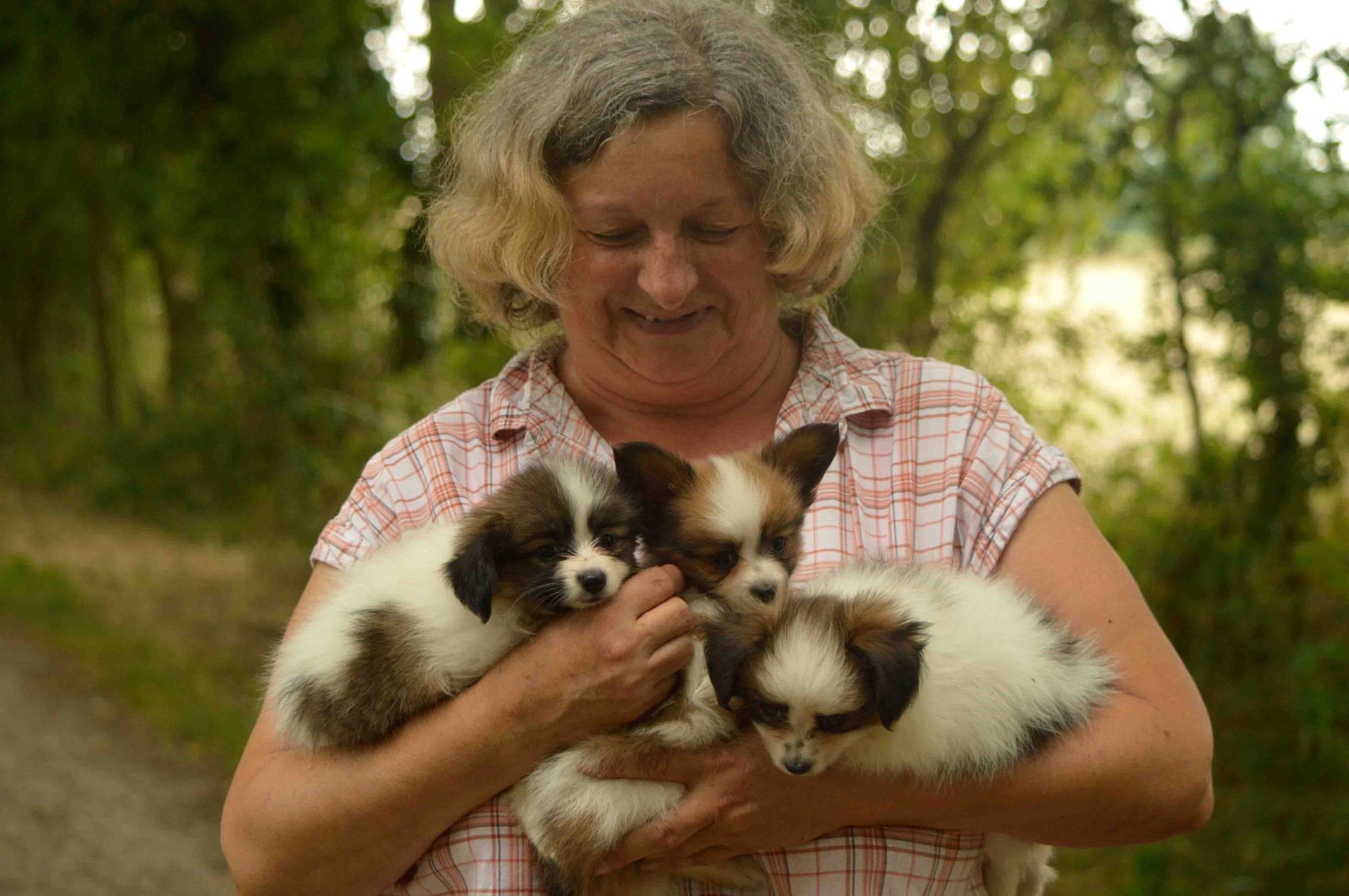 Les papillons d'Armande