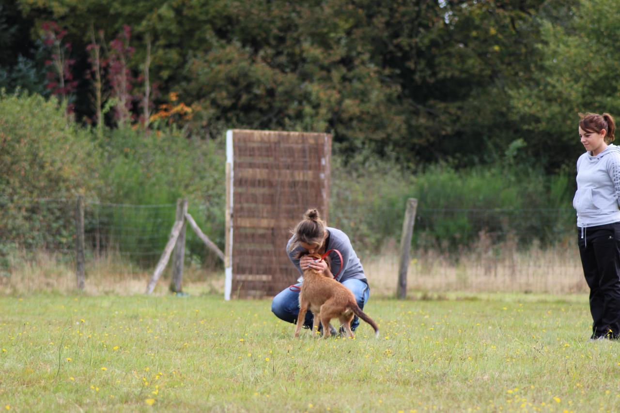 Super mon chien!