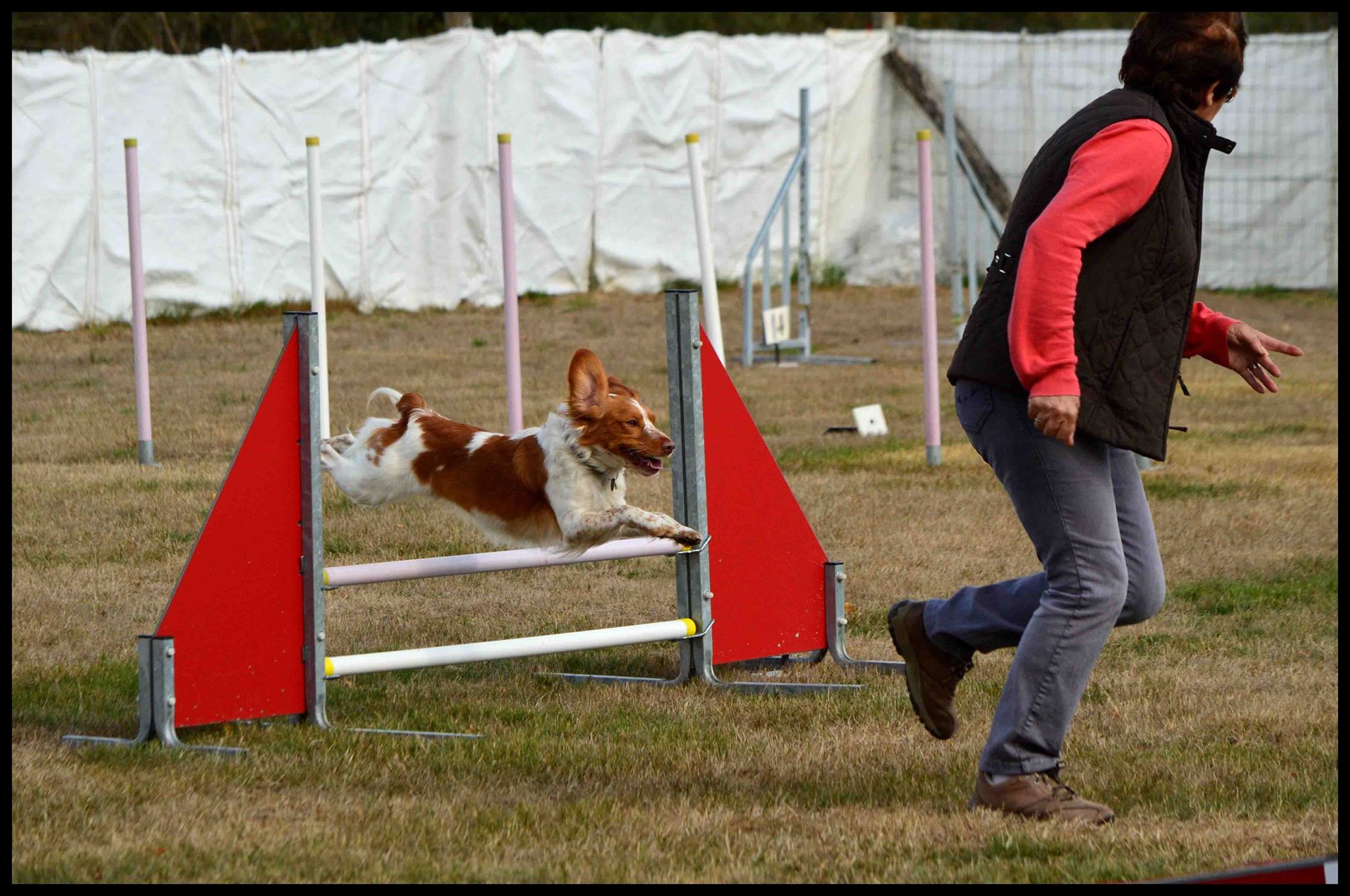 Agility, Jimmy et Michelle