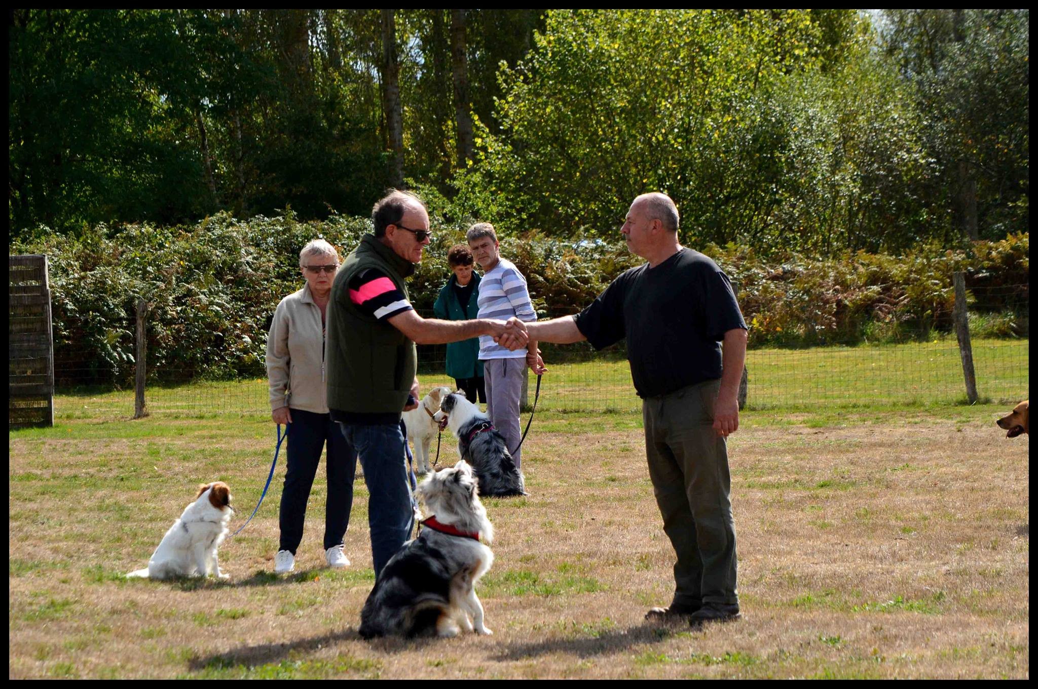 Cours adultes