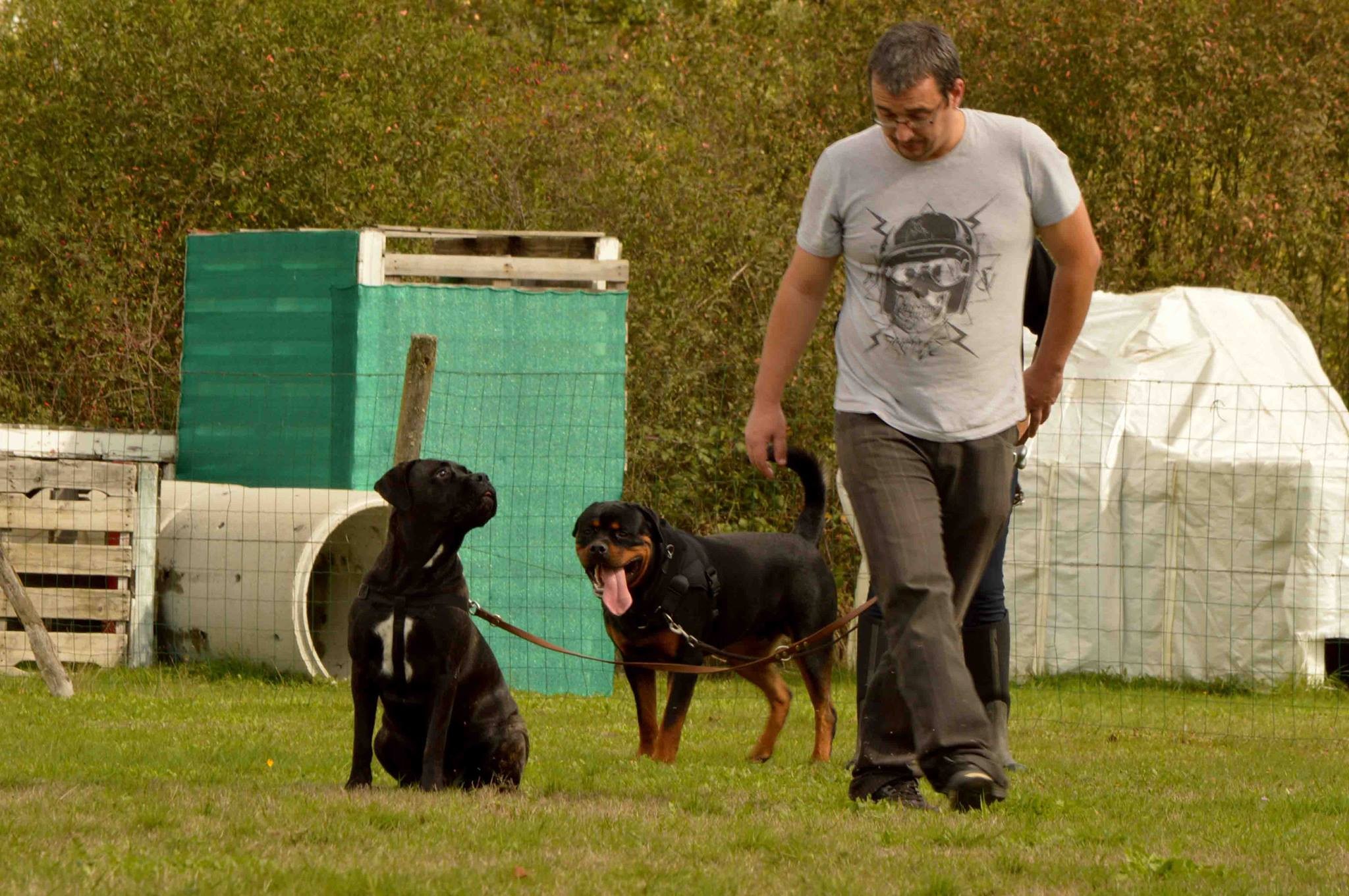 Molly, Murdock et Jérome