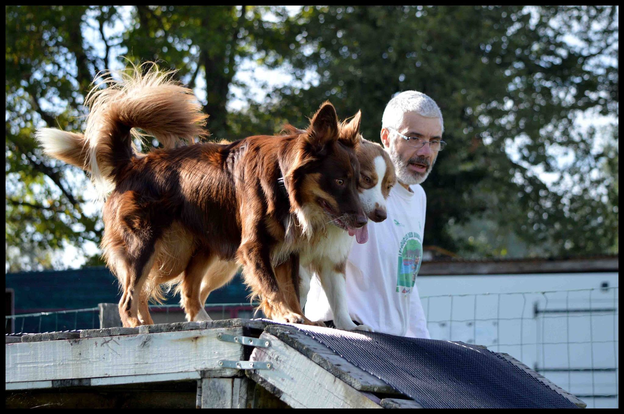 Malko, Maya et Patrice
