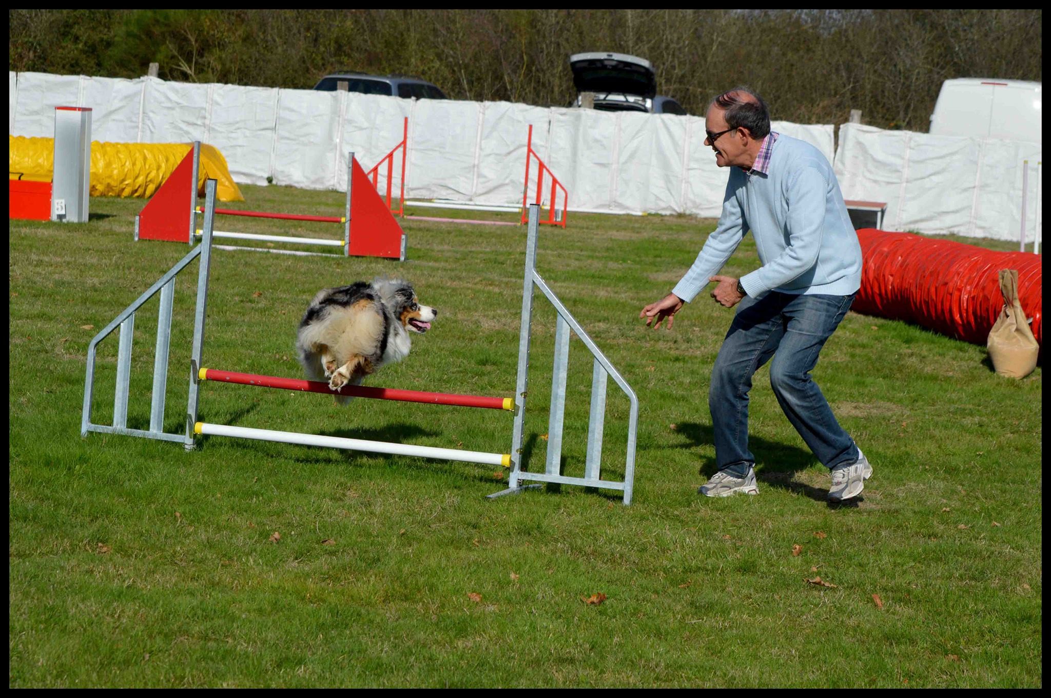 Agility, Luna et Gérard