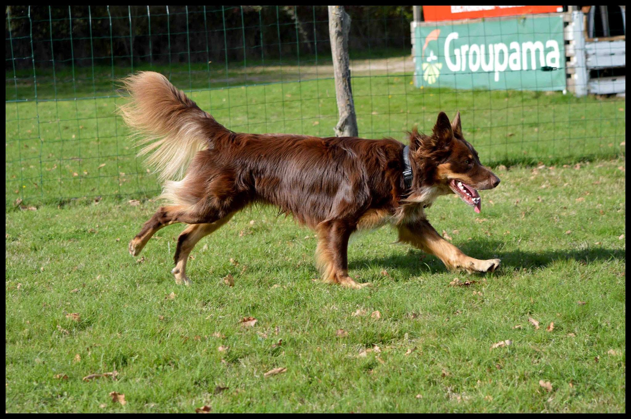 Malko