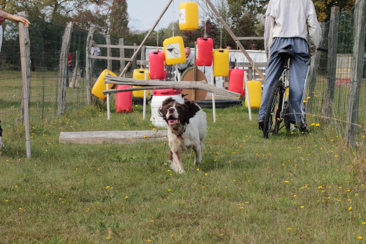 Il va très bien, le chien!