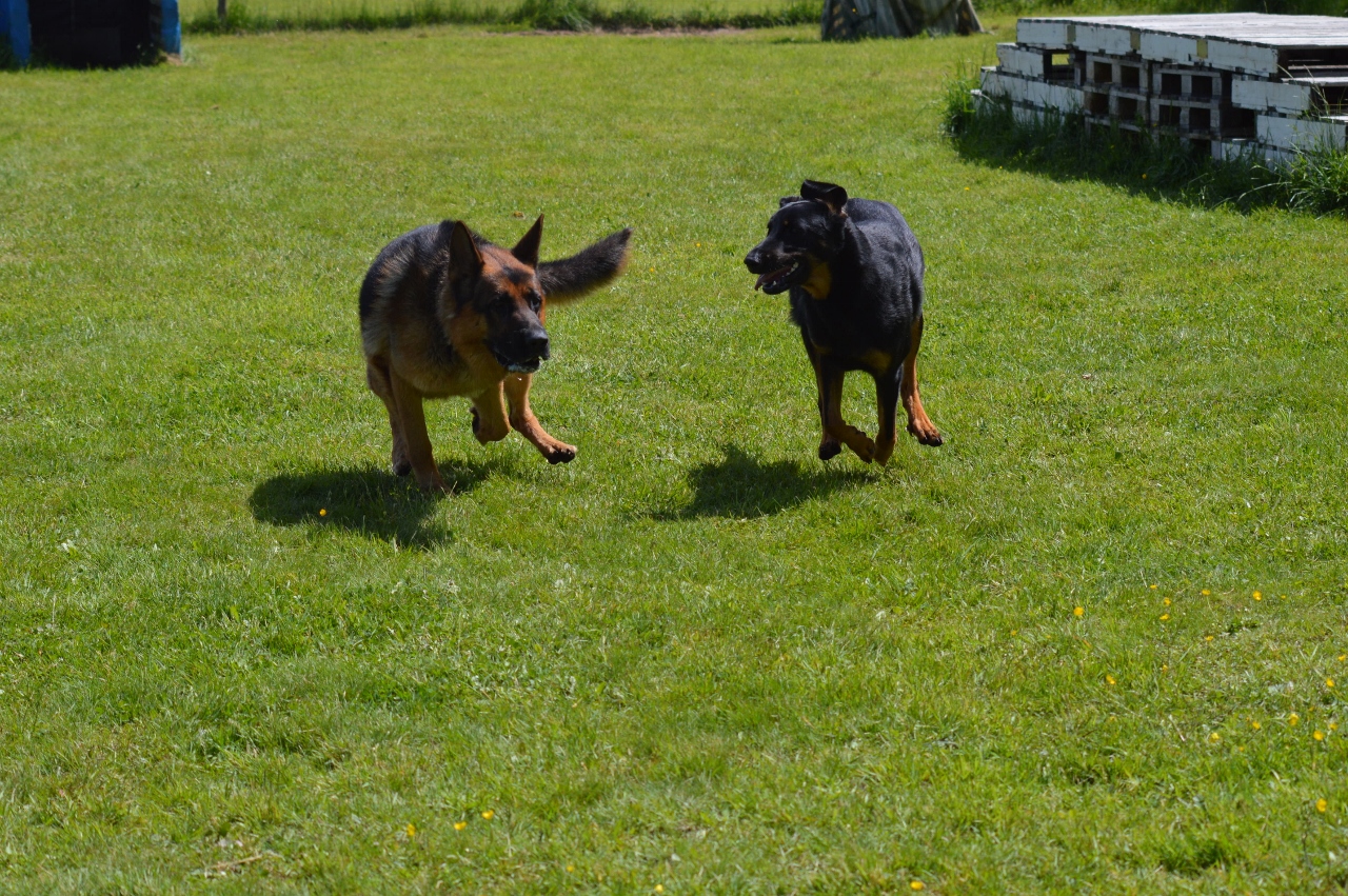 Course entre gars