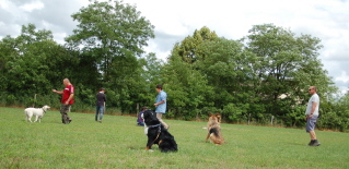 cours des adultes