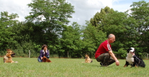 cours des adultes