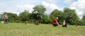 cours des adultes