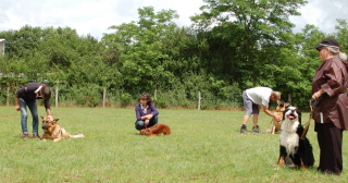 cours des adultes