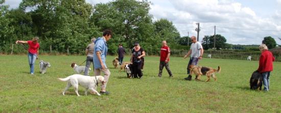 cours des adultes