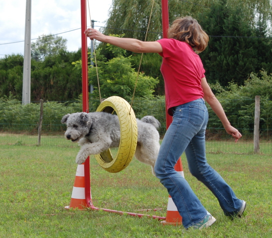 cours des adultes