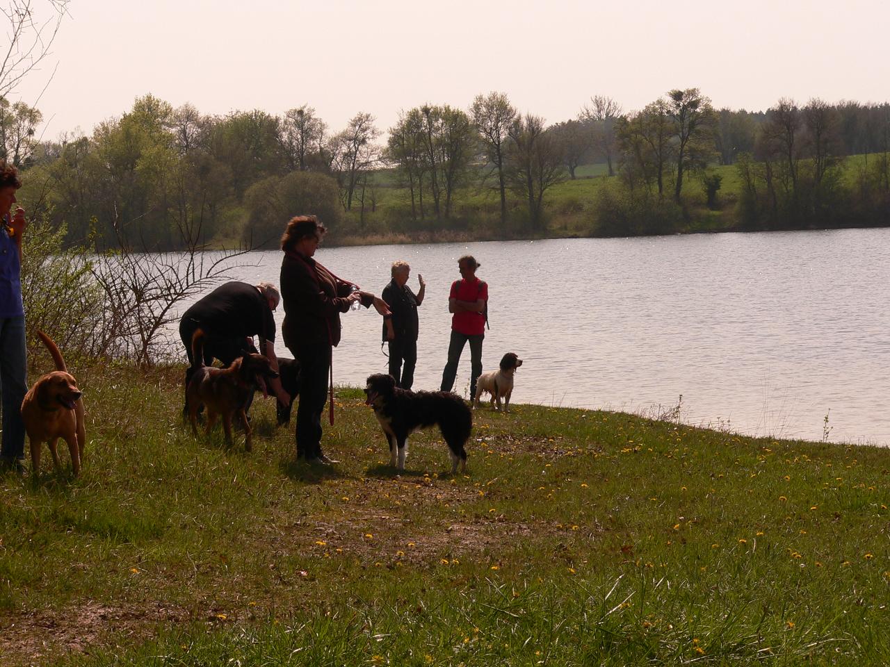 Toujours au bord de l'étang