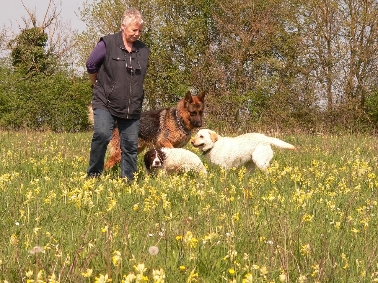 Olga, Joggy, Frifri et Handy