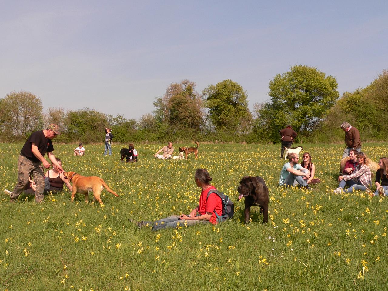 Une très belle après-midi