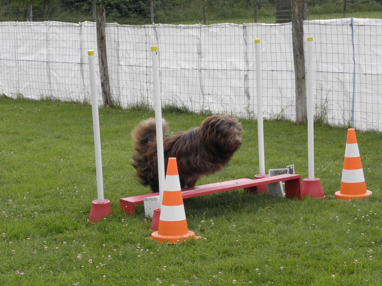 Le saut en longueur