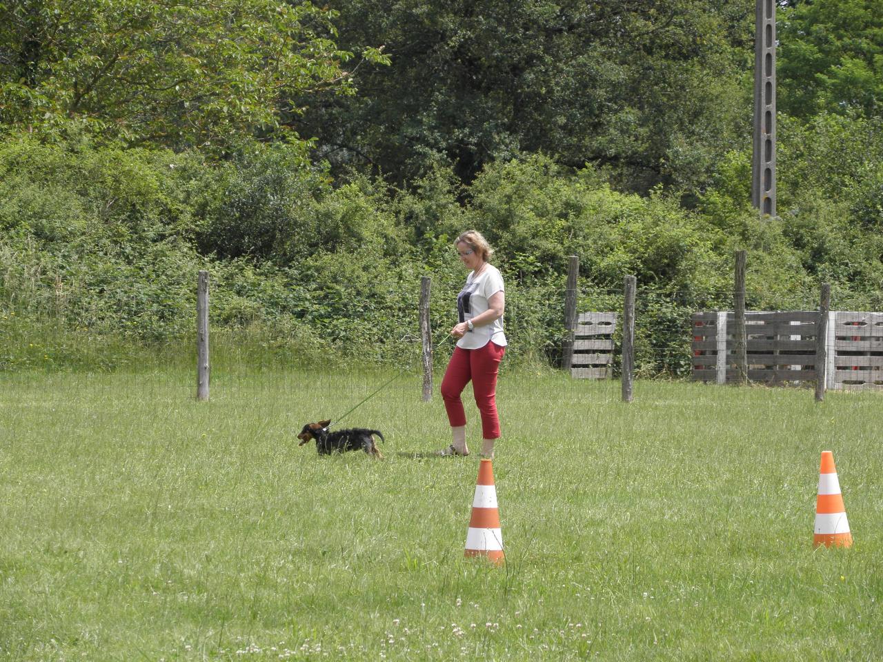 Loyce et son humaine