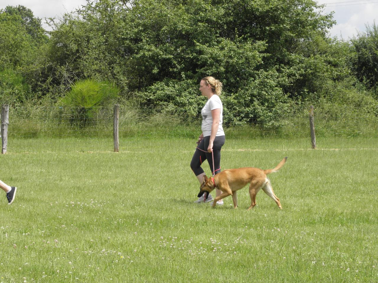 Tika et son humaine