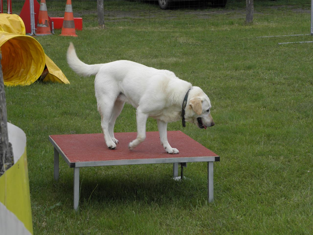 La table
