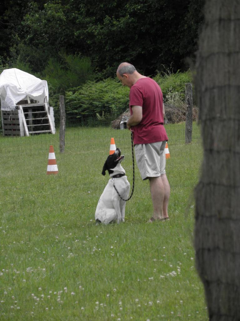 Harmonie en pleine contemplation