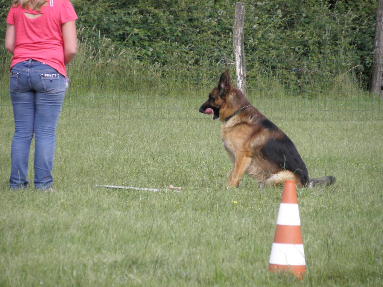 Refus d'appât à distance