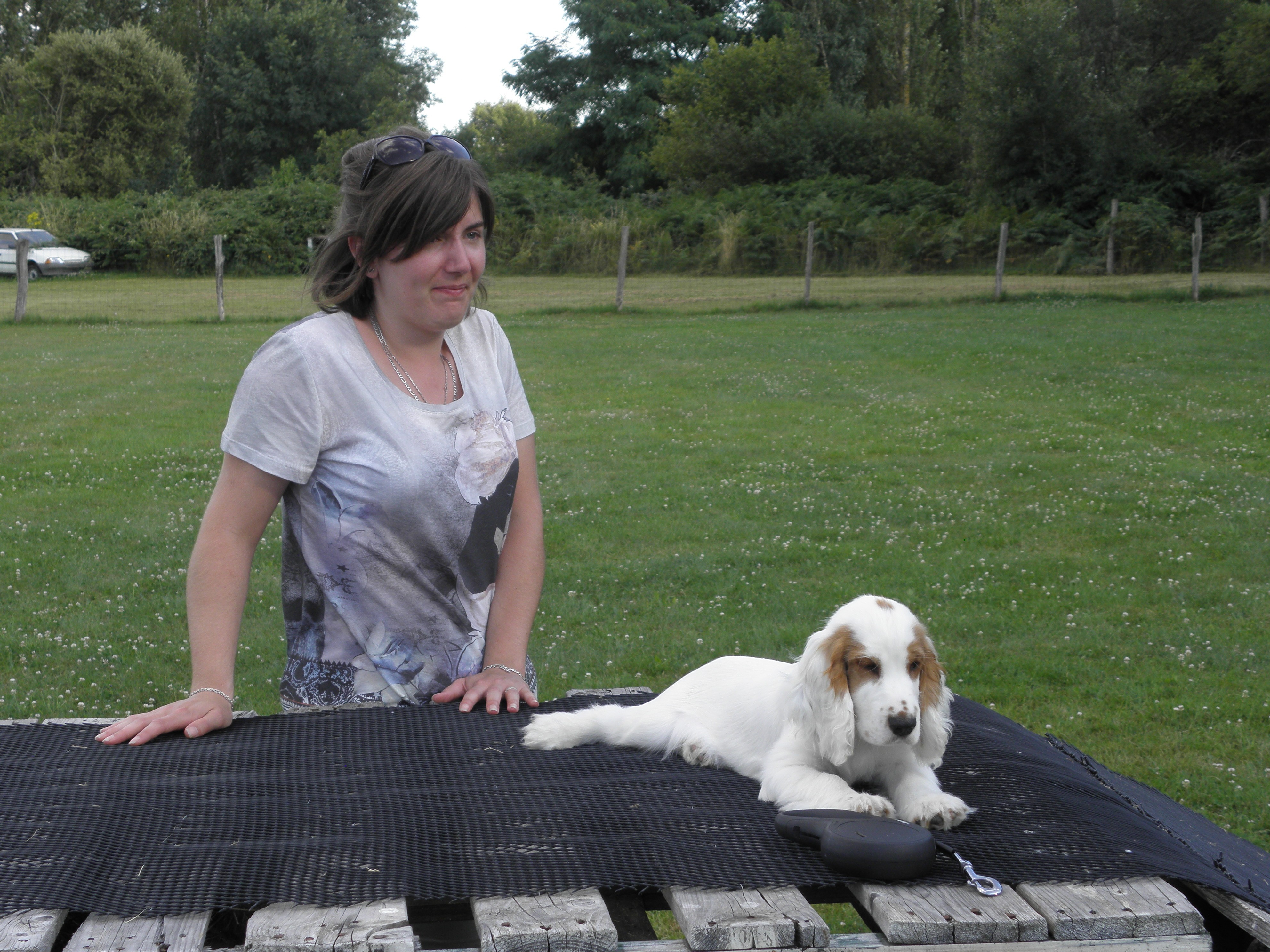 Marley et son humaine observe