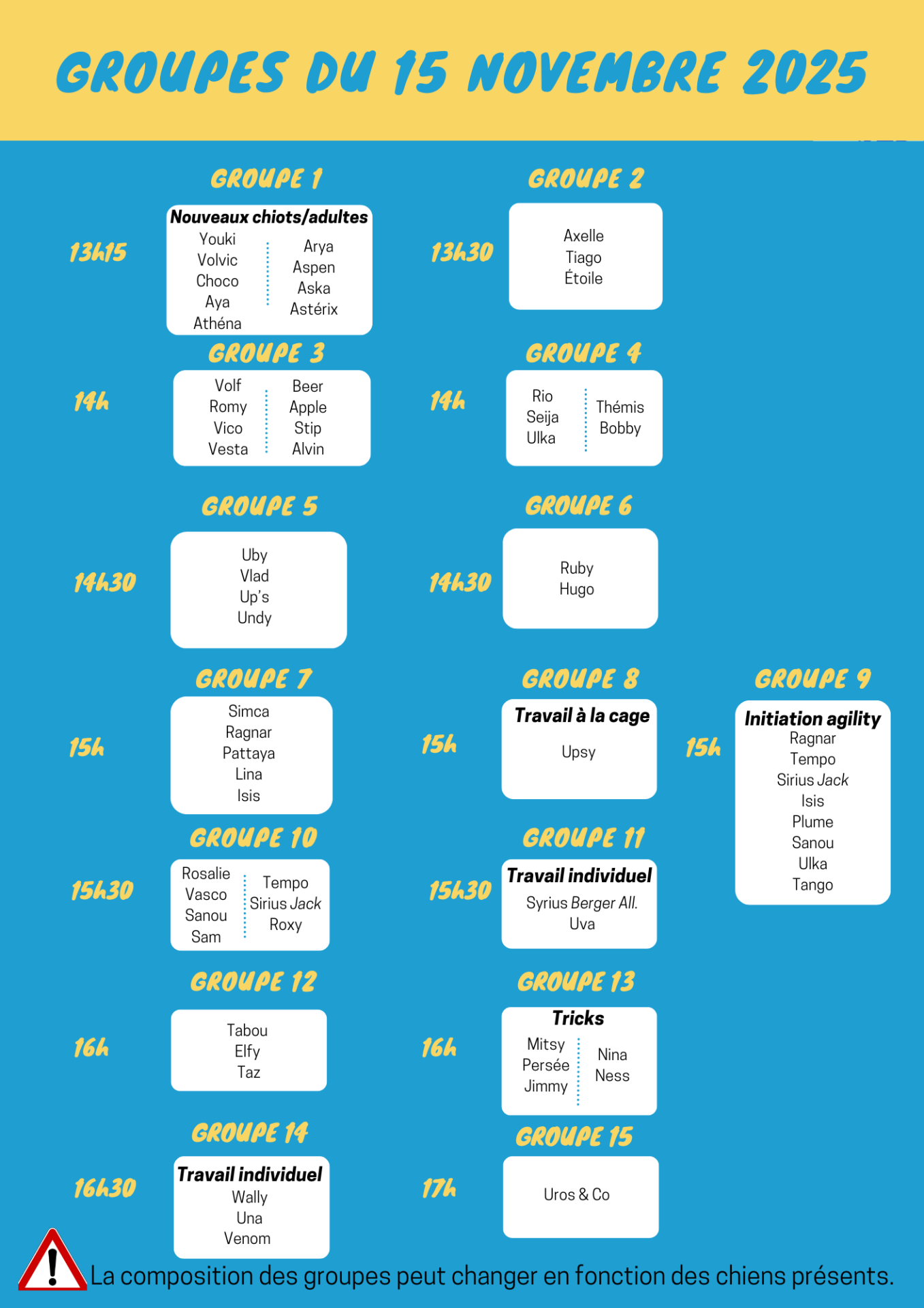 Copie de copie de black and blue pattern workout planner 47 1