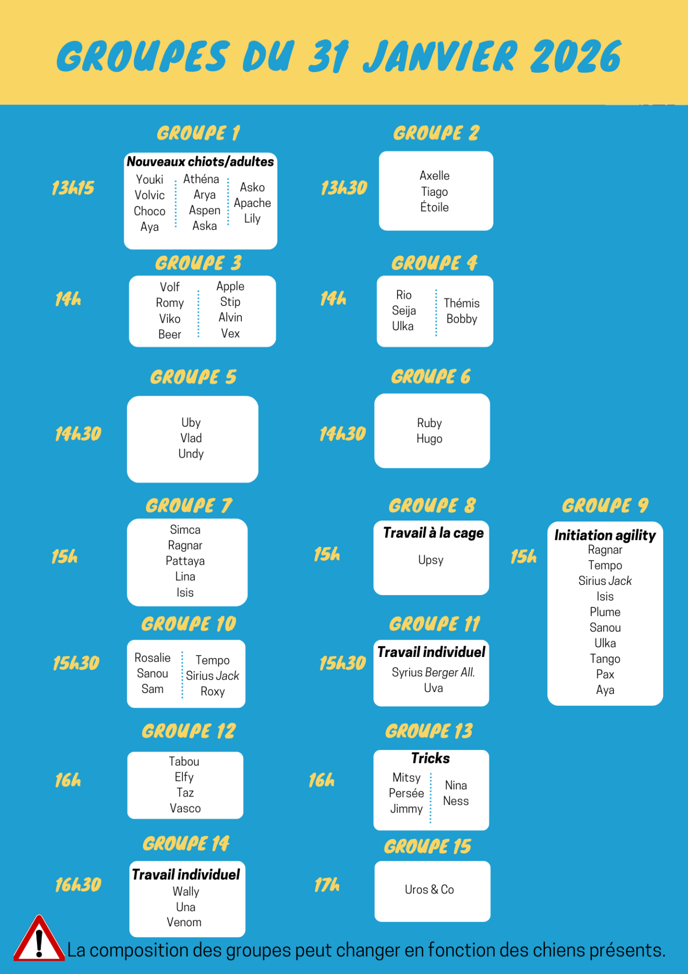 Copie de copie de black and blue pattern workout planner 61