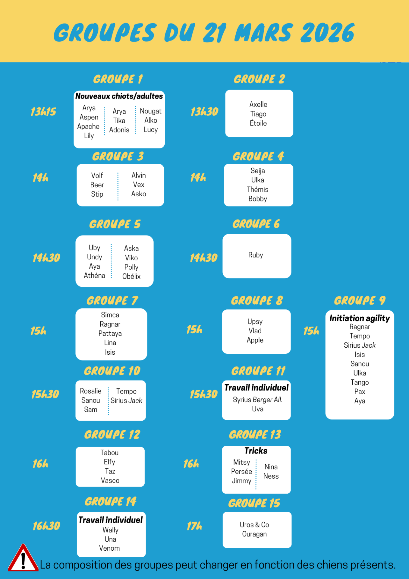 Copie de copie de black and blue pattern workout planner 73