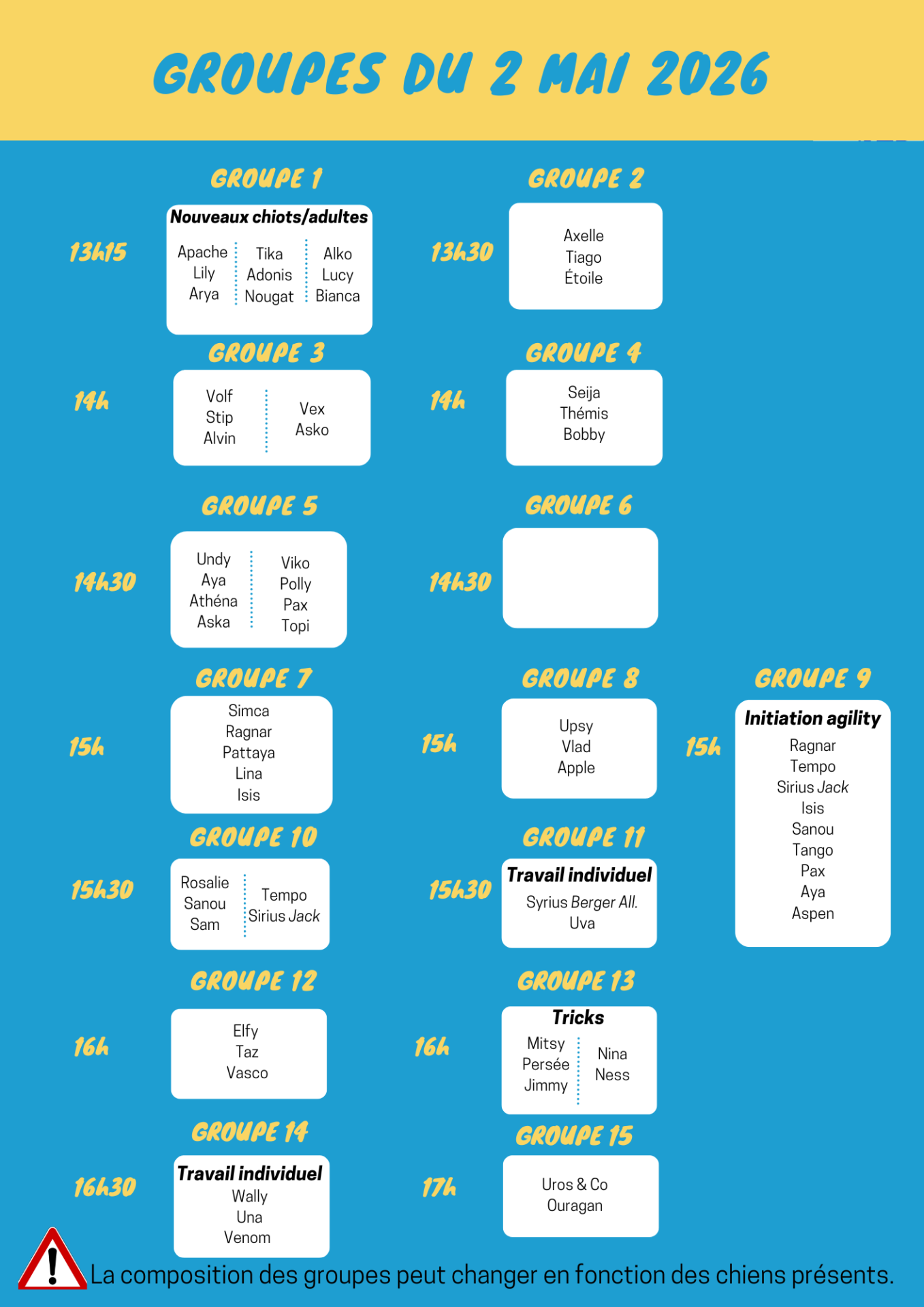 Copie de copie de black and blue pattern workout planner 80 1